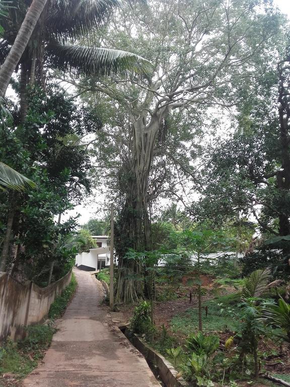 Disna Place Unawatuna Exteriér fotografie